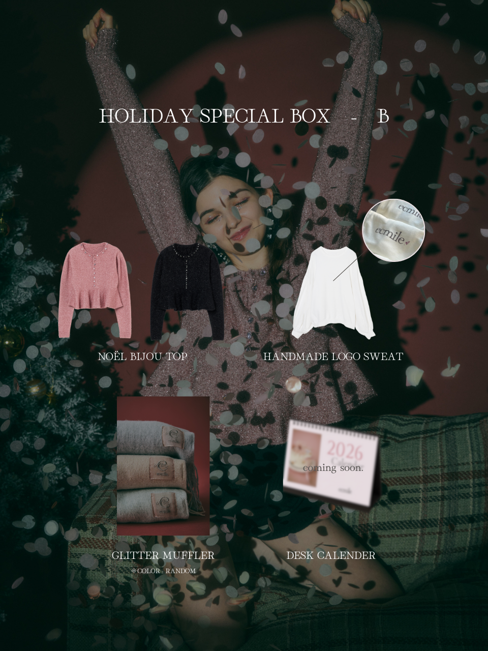 HOLIDAY SPECIAL BOX-B