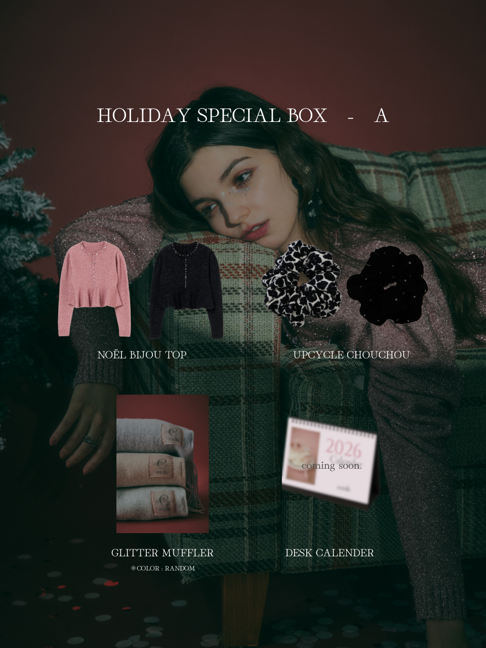 HOLIDAY SPECIAL BOX-A